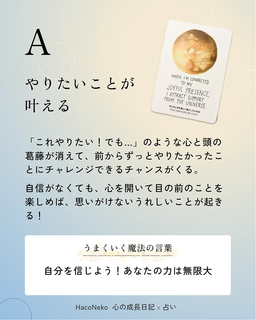 Haconekoの投稿