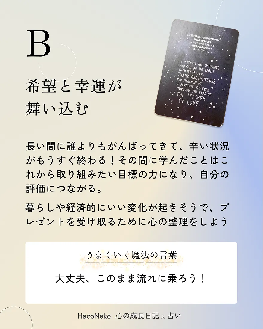 Haconekoの投稿