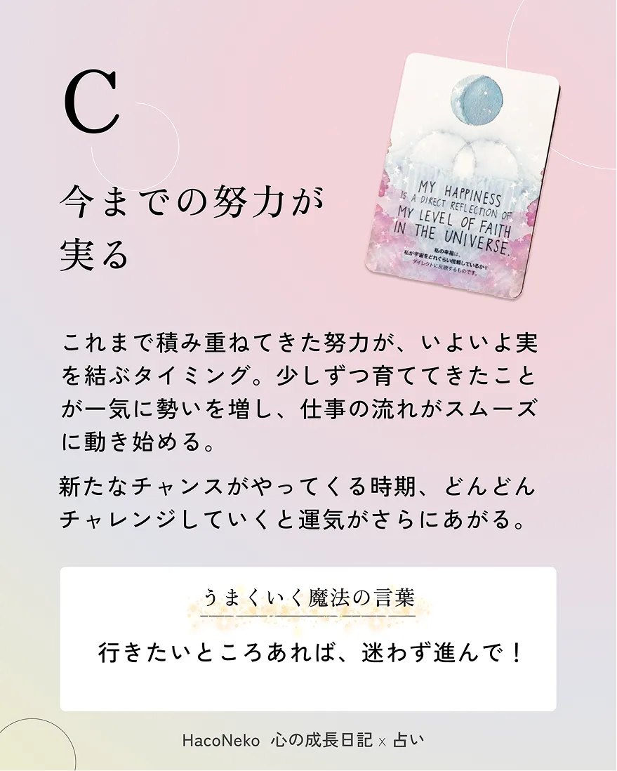 Haconekoの投稿
